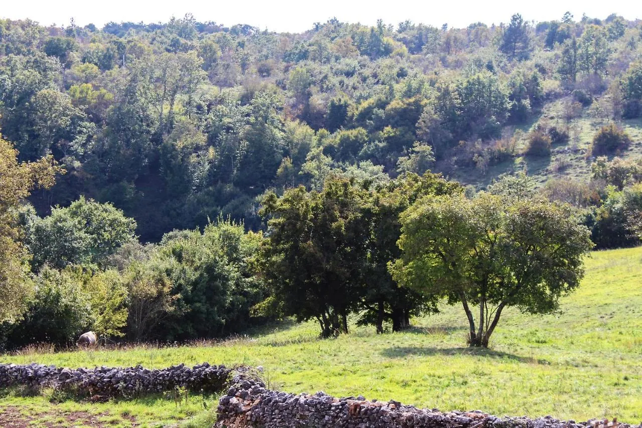 Charming Villa Near Zminj With Private Pool